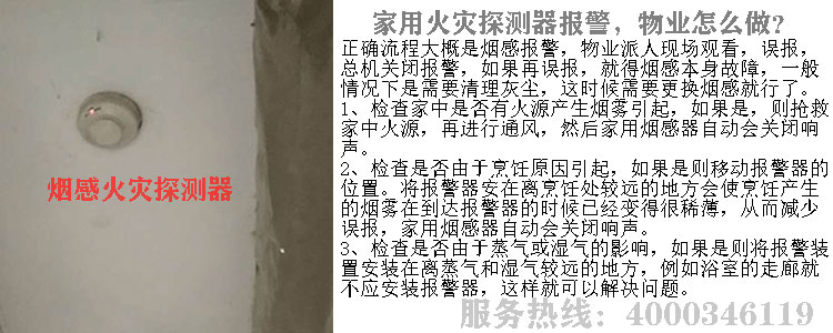 ���̽�y��